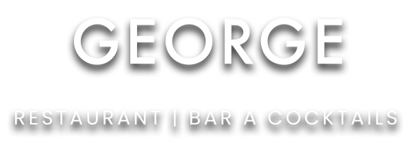 Logo George